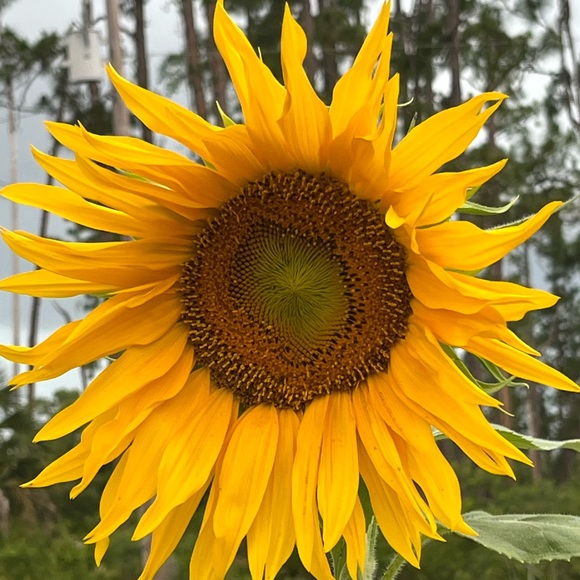 PLEASE LIKE NEW GAME! - Picture 9 of 12